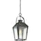 Quoizel Carriage Outdoor Hanging Lantern CRG1910MB - alternate 2